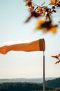 A Yellow Windsock