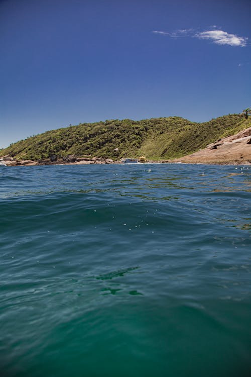 Close-Up Shot of Water Surface