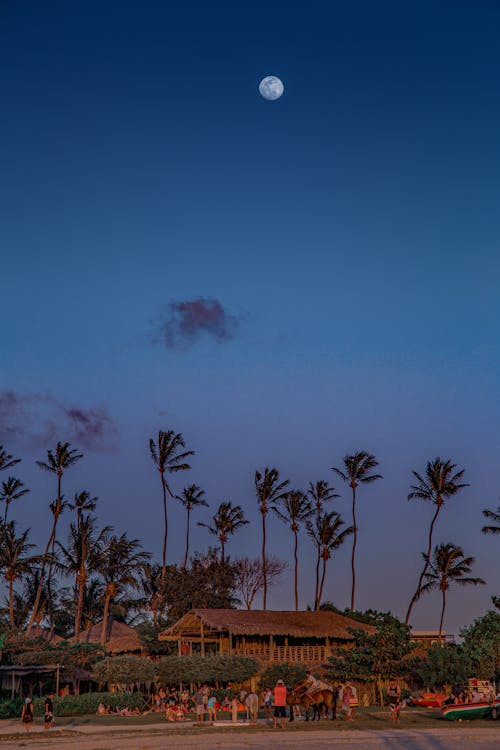 A Shot of Moon Over Palms, Incidental People and Tropical Houses 