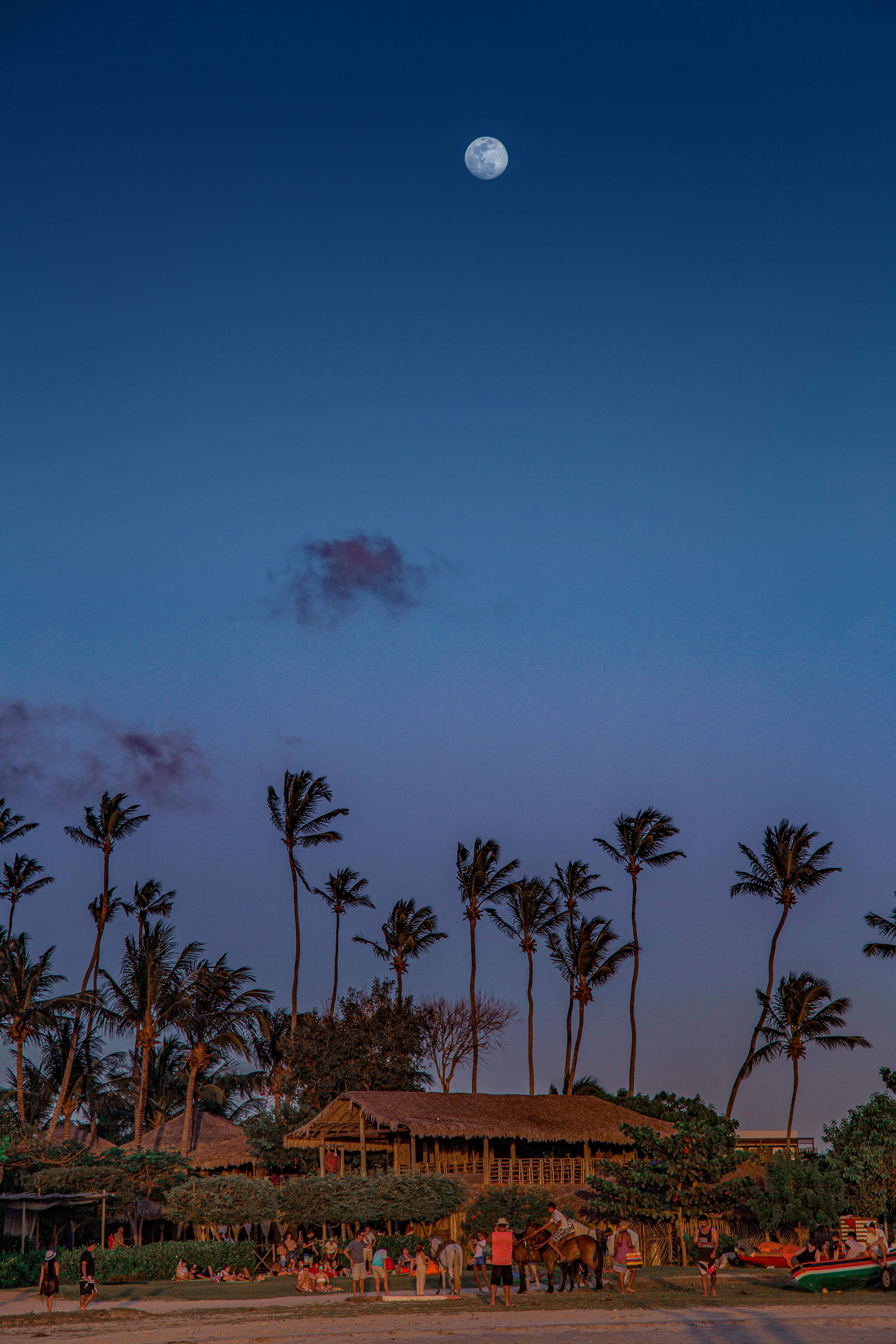 Kuta Bali Photos Download The BEST Free Kuta Bali Stock Photos HD Images Kuta Bali Photos Download The BEST Free Kuta Bali Stock Photos HD Images