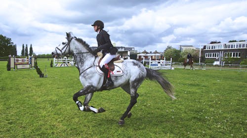 Mulher Cavalgando O Cavalo Branco E Preto Em Gramado Verde Durante O Dia