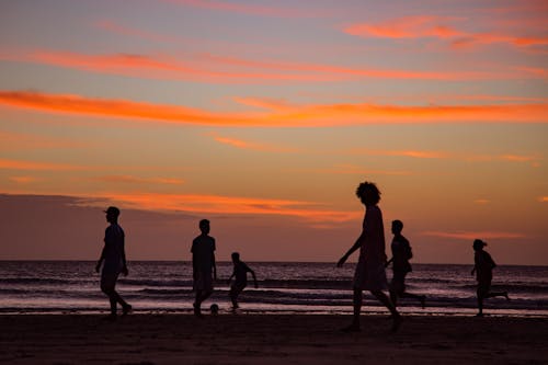 Silhouette of People Walking on the Beach during Golden Hour
