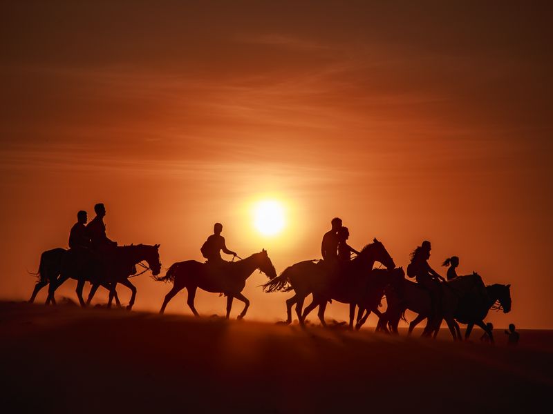 Group of horse riders silhouetted against a desert sunset