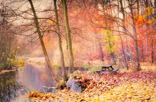 A tranquil autumn landscape featuring a park bench amidst orange leaves by a calm river.