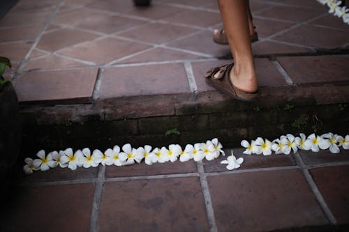 Fotobanka s bezplatnými fotkami na tému krok, kvety, nohy