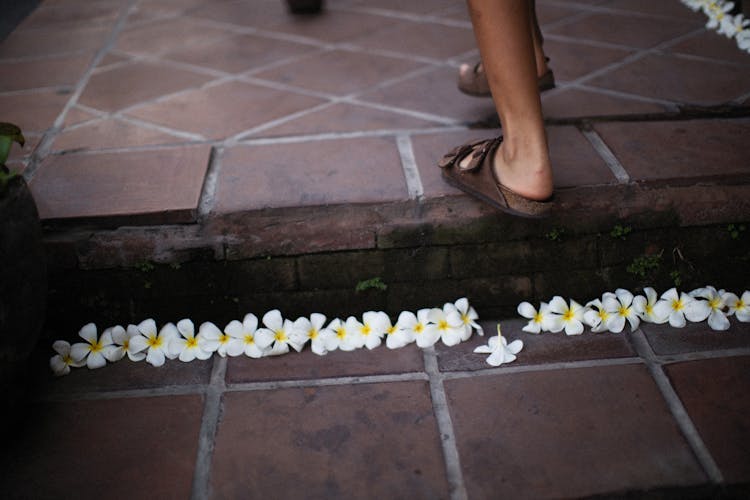 Flowers Placed By A Step