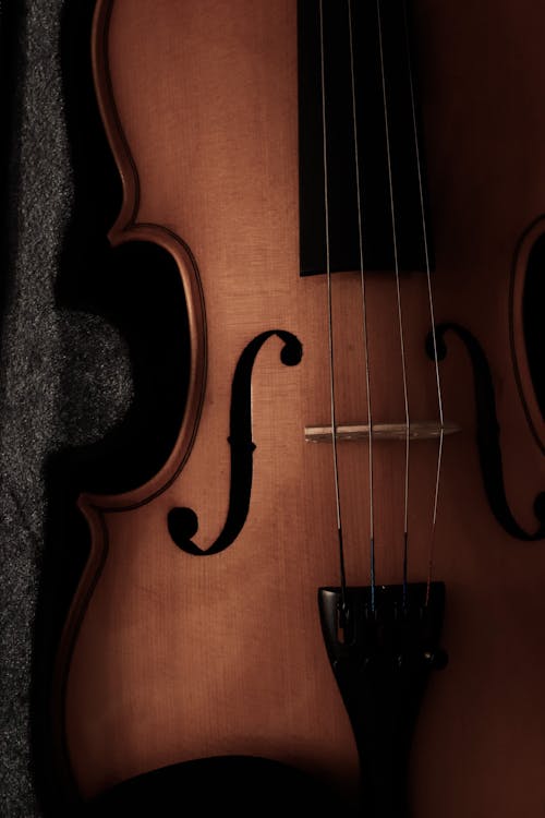 Free stock photo of arts, classical music, music