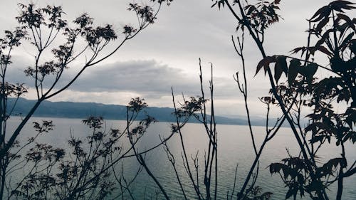 Foto stok gratis cuaca, damai, danau