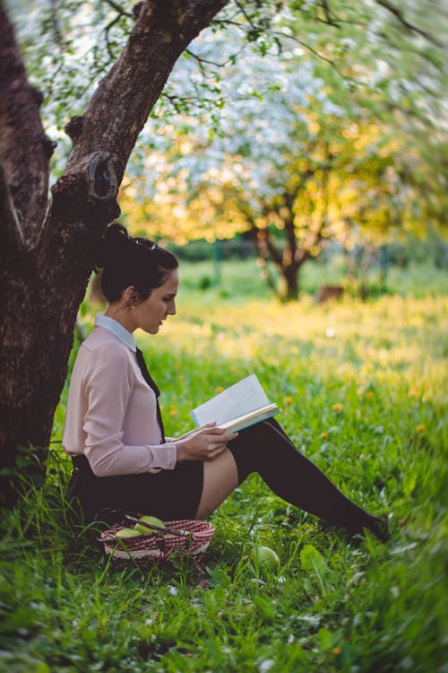 бесплатная Женщины читают книгу под деревом Стоковое фото