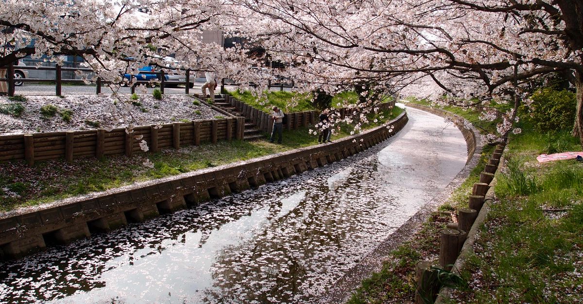 2026年春信州观光攻略 2026年春信州观光攻略