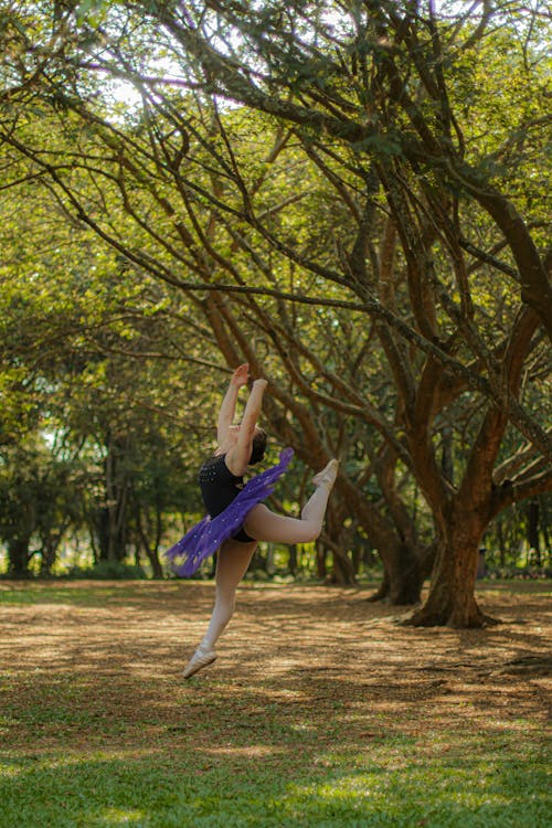A Ballerina Dancing Under the Tree 