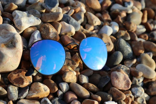 Black Farmed Sunglasses on Rocks