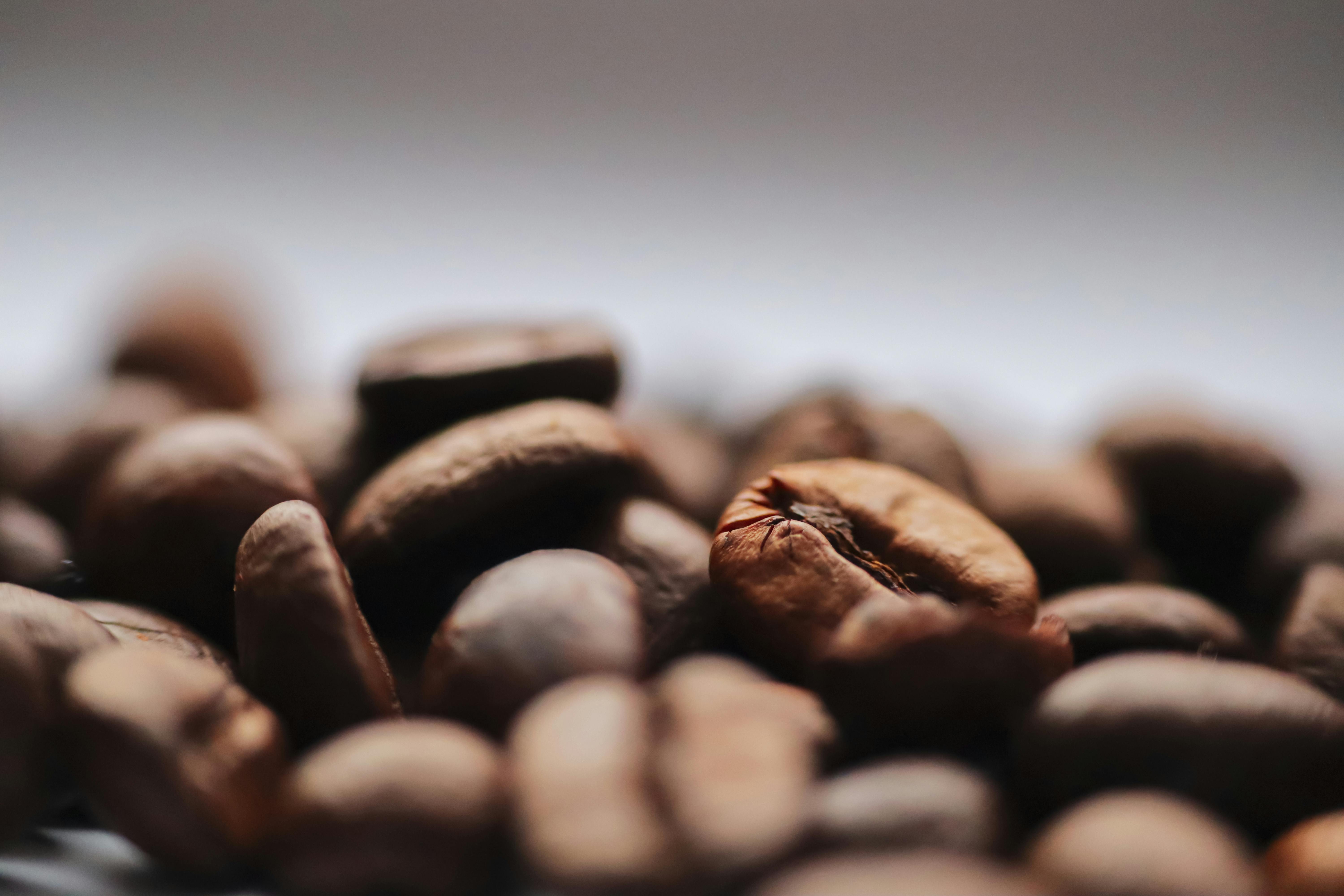 Close-Up Photography of Roasted Coffee Beans · Free Stock Photo