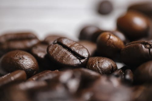 Close-Up Shot of Coffee Beans