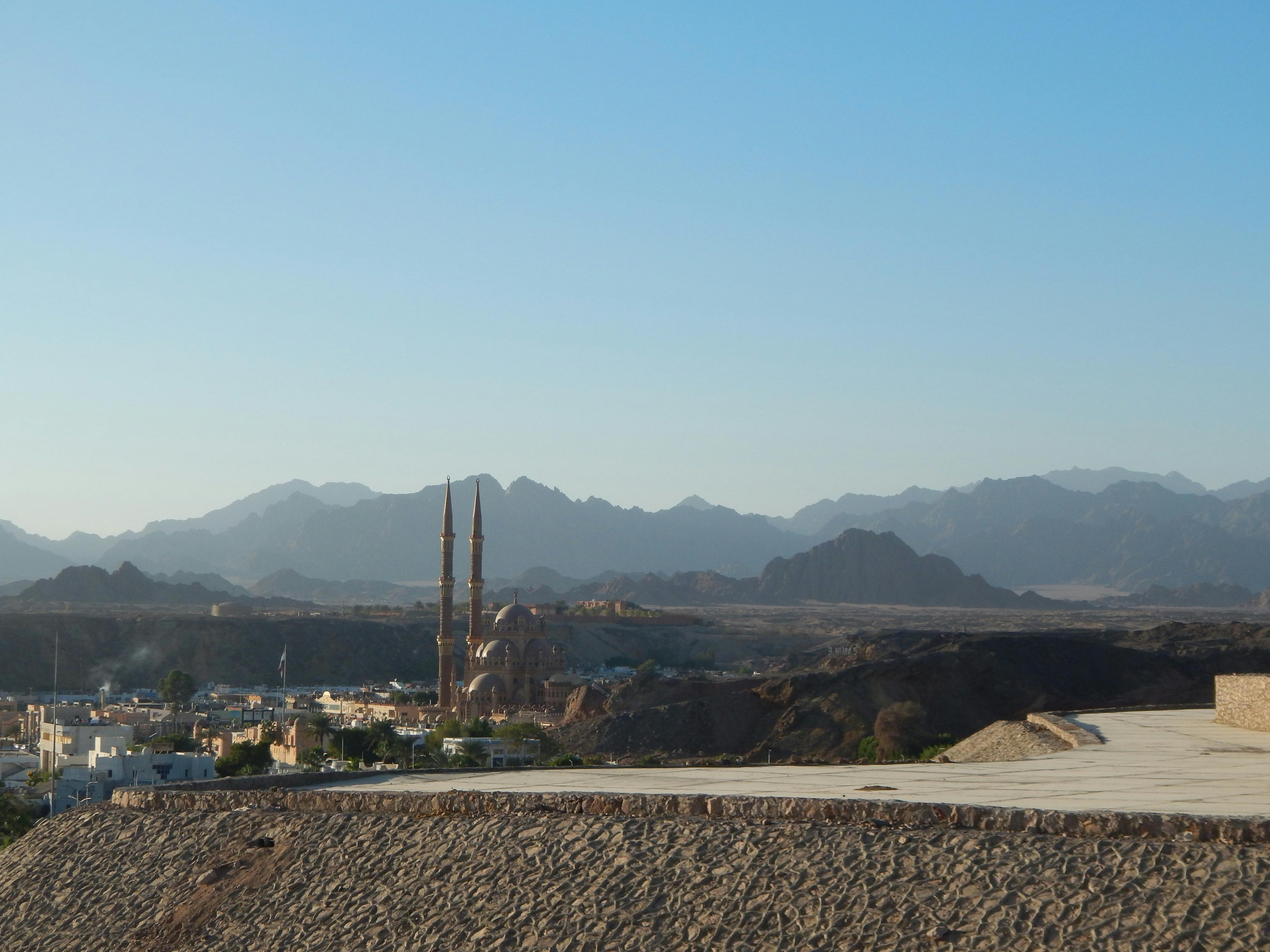 중고리스 자동차 견적 비교 및 상담 이미지