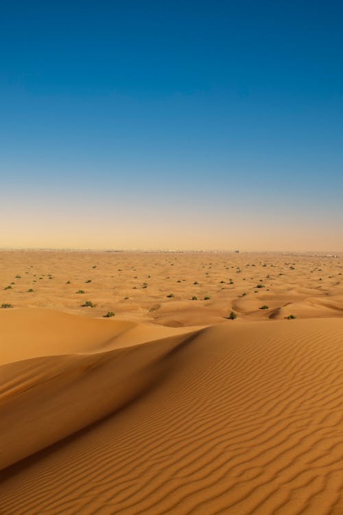 Foto d'estoc gratuïta de àrid, atractiu, desert