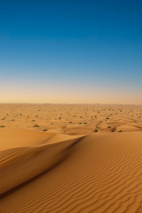 Free Expansive Dubai desert landscape with golden sand dunes and clear blue sky. Stock Photo