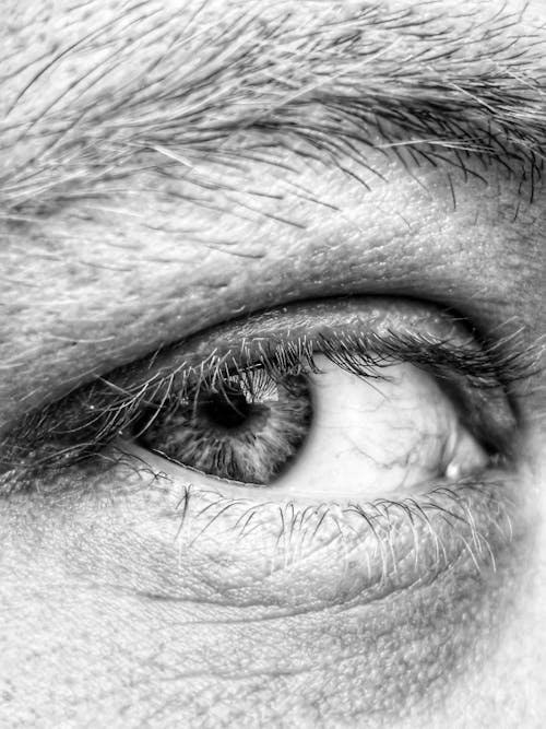 Grayscale Photo of a Human Eye