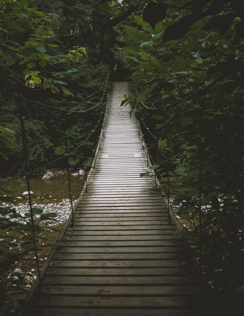 Free A tranquil wooden hanging bridge in a dense green forest in Sochi, Russia. Stock Photo