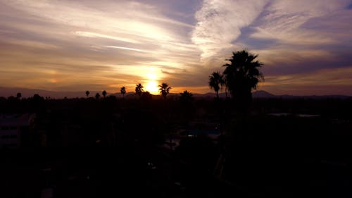 Silueta, De, Palmeras, Durante, Ocaso