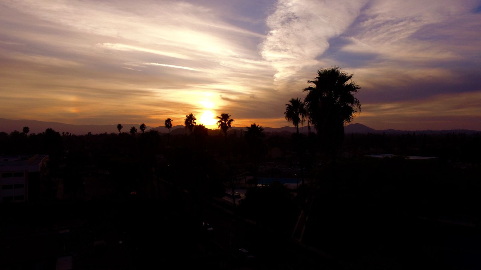 Silhouetted palm trees against a sunset sky, illustrative photo for GTA 6 and its Florida-inspired setting