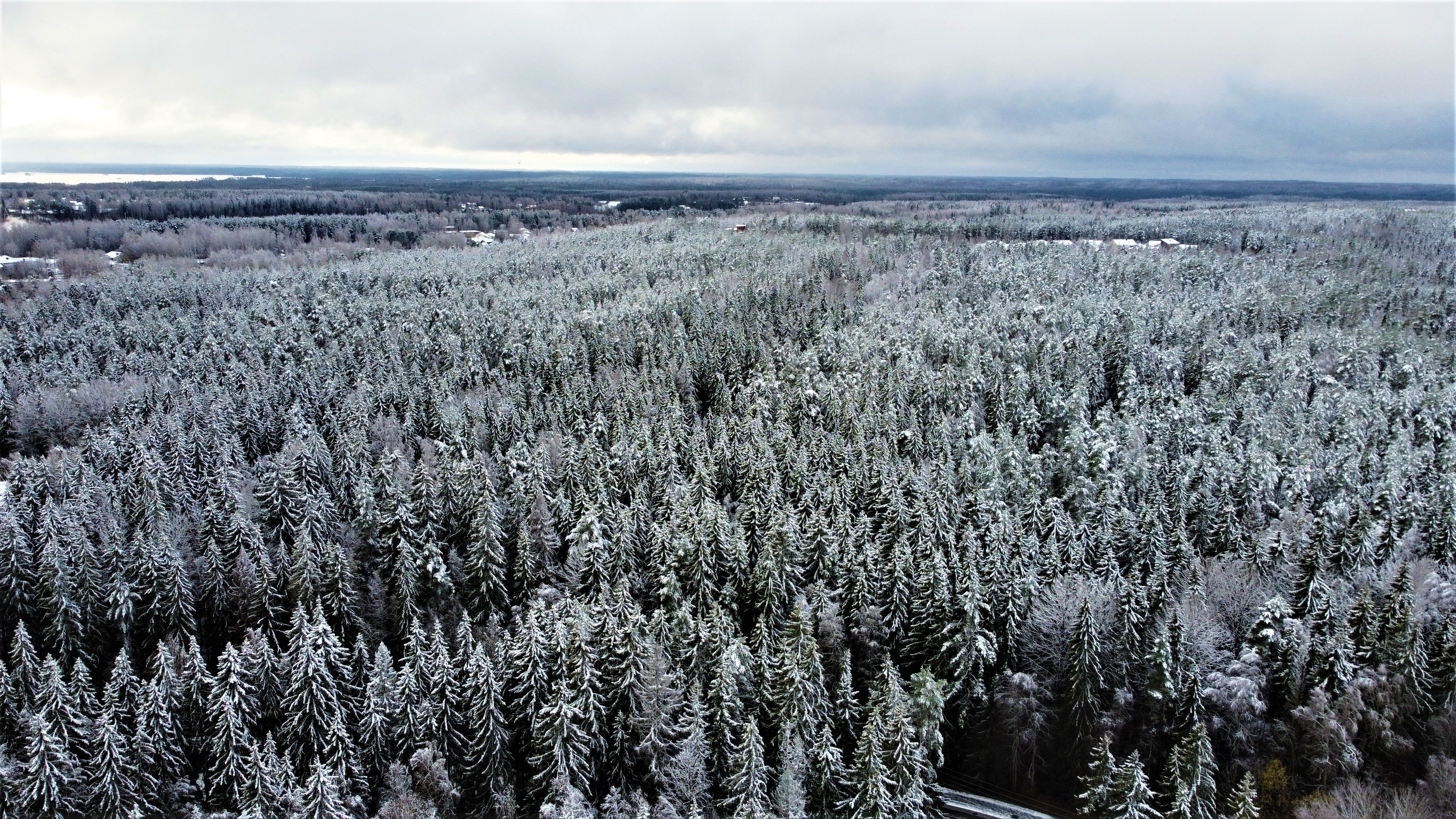 Joroinen