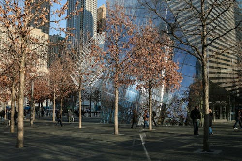 Základová fotografie zdarma na téma budovy, lidé, Manhattan