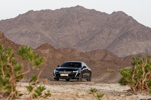 Foto d'estoc gratuïta de aventura, camí de carro, cotxe negre