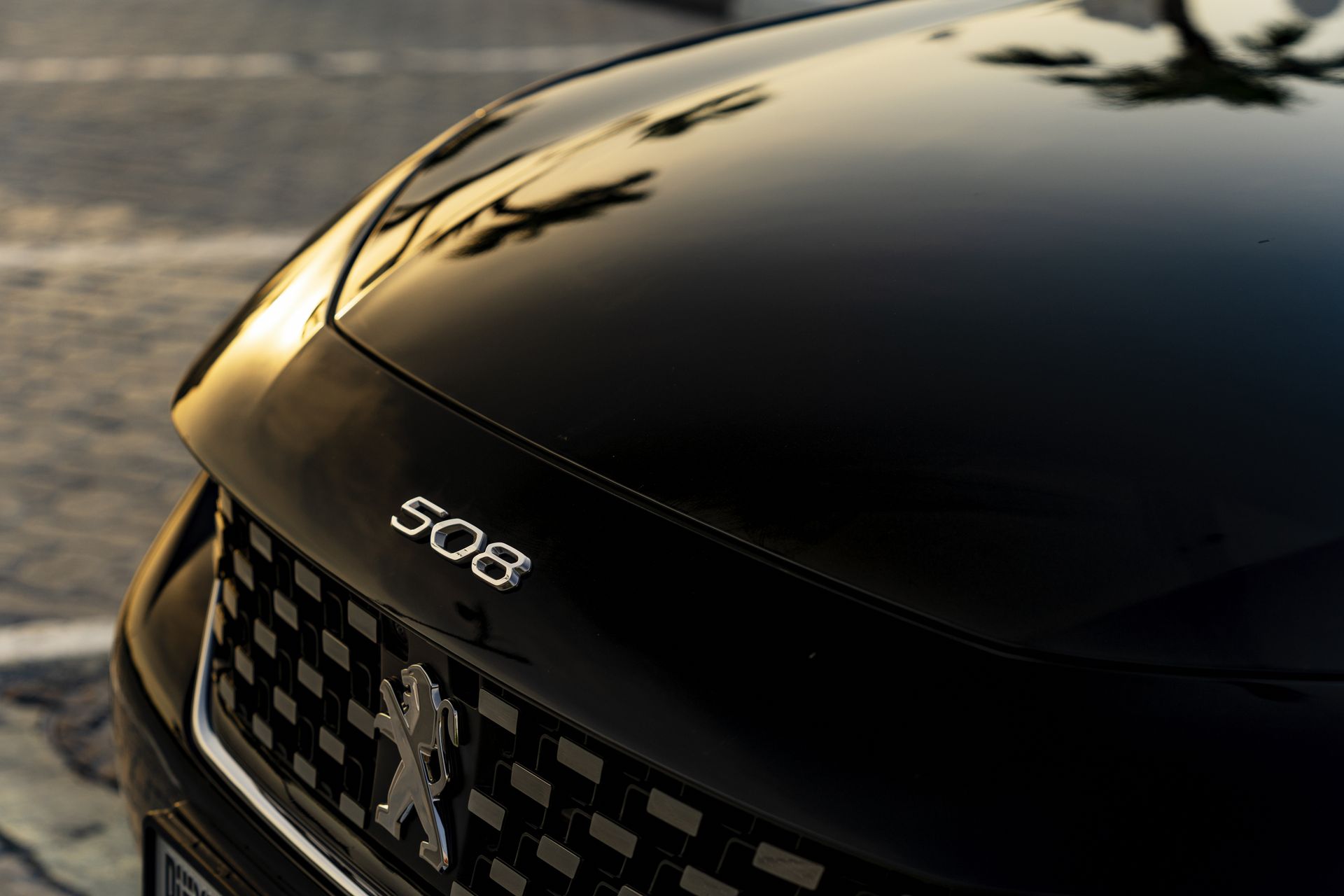Artistic close-up of Peugeot 508 emblem with palm tree reflections at sunset in Dubai.