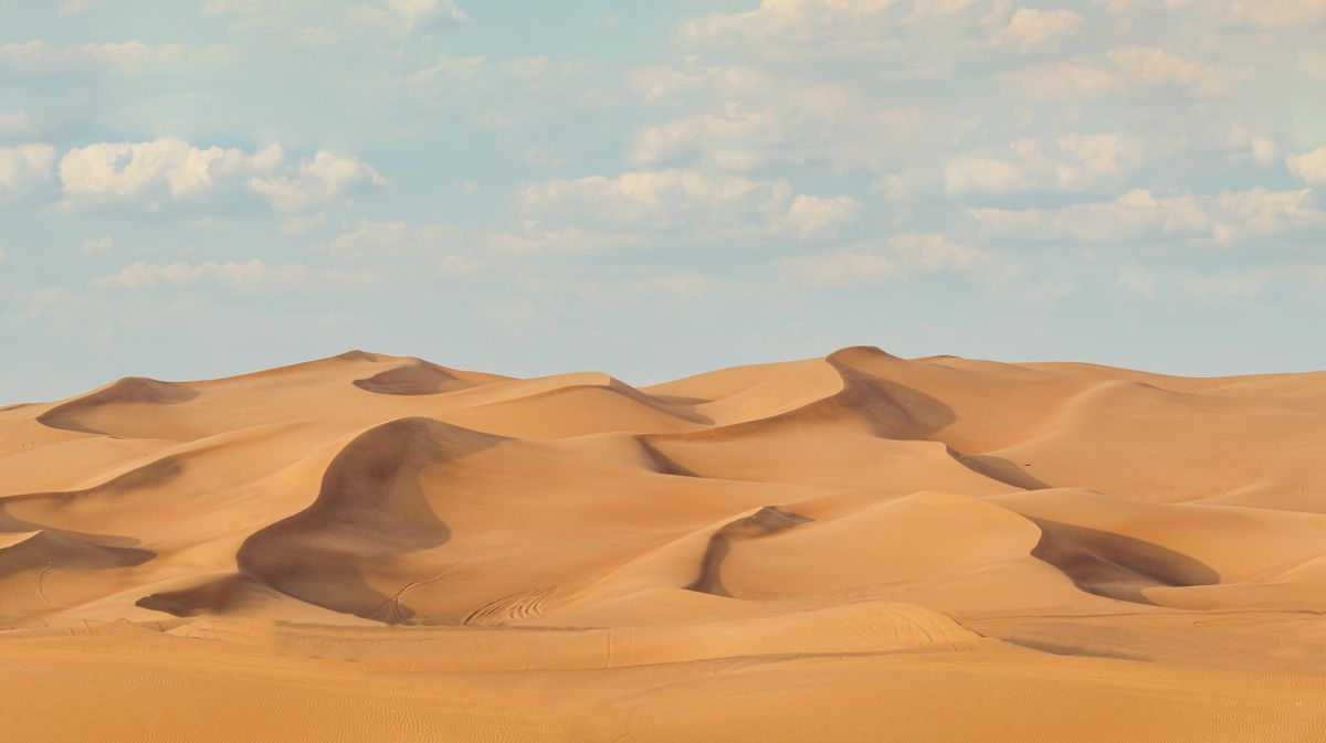 Soft ridges of golden sand dunes under a pale sky outside Dubai