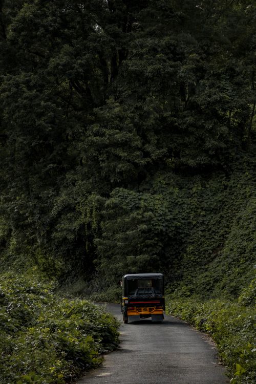 Free A vehicle traverses a lush, tree-lined mountain road during daytime. Stock Photo