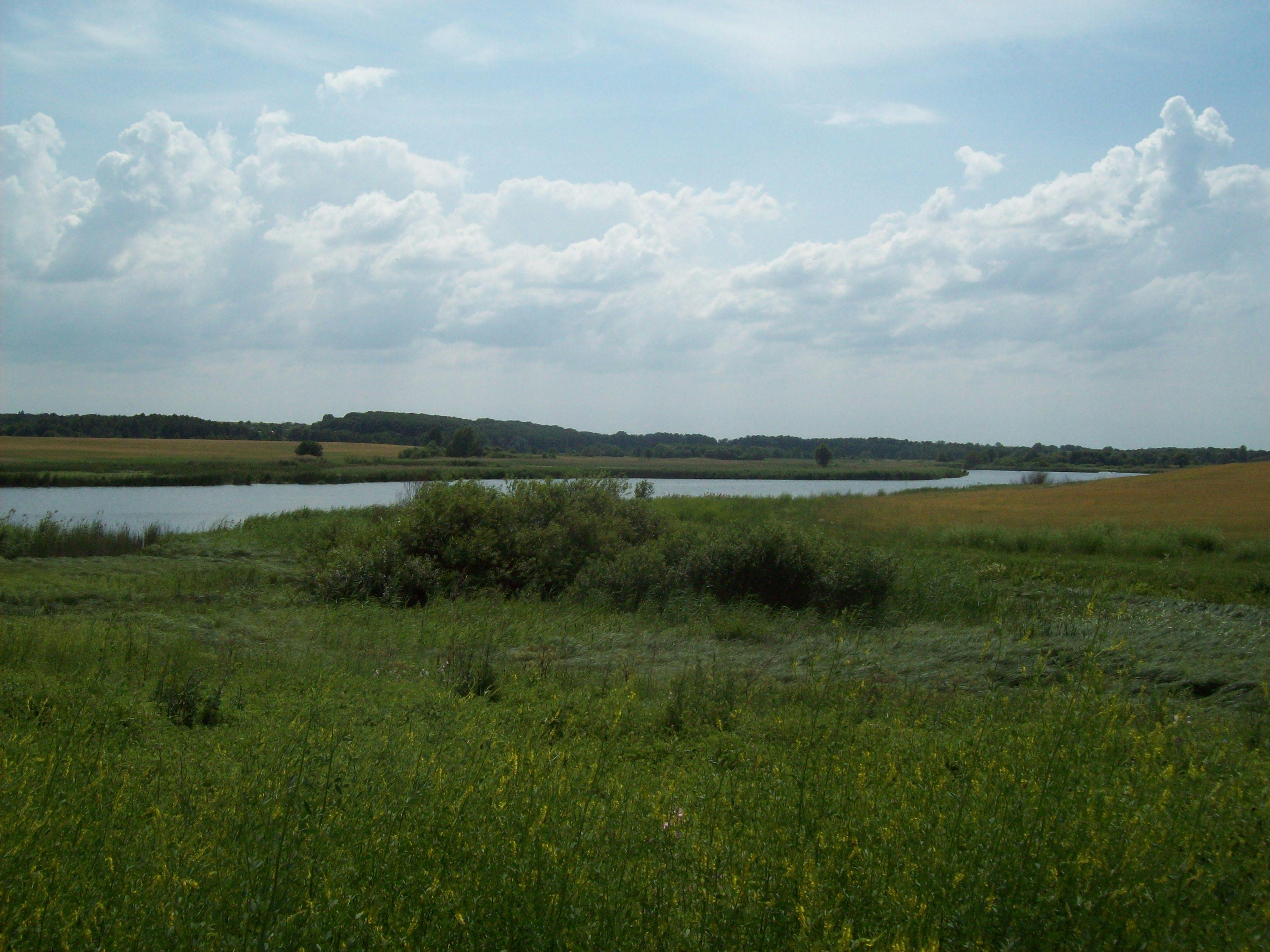 Bolo Rei e doces de Natal portugueses