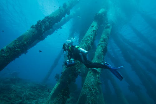 A Person in Black Diving Suit Under Water