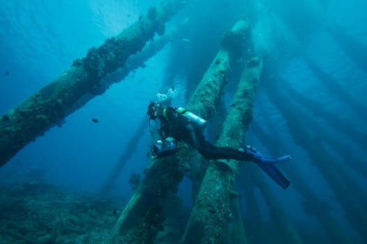 A scuba diver explores underwater structures in the Caribbean, showcasing vibrant marine life.