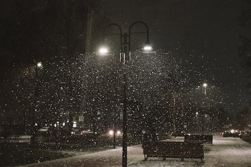 下雪, 下雪的天氣, 冬季 的 免费素材图片