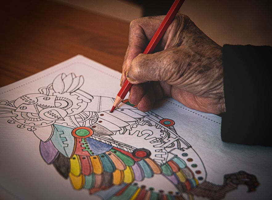 Livro de Colorir Adulto Antiestresse Capivara | 50 Desenhos Relaxantes |COL043
