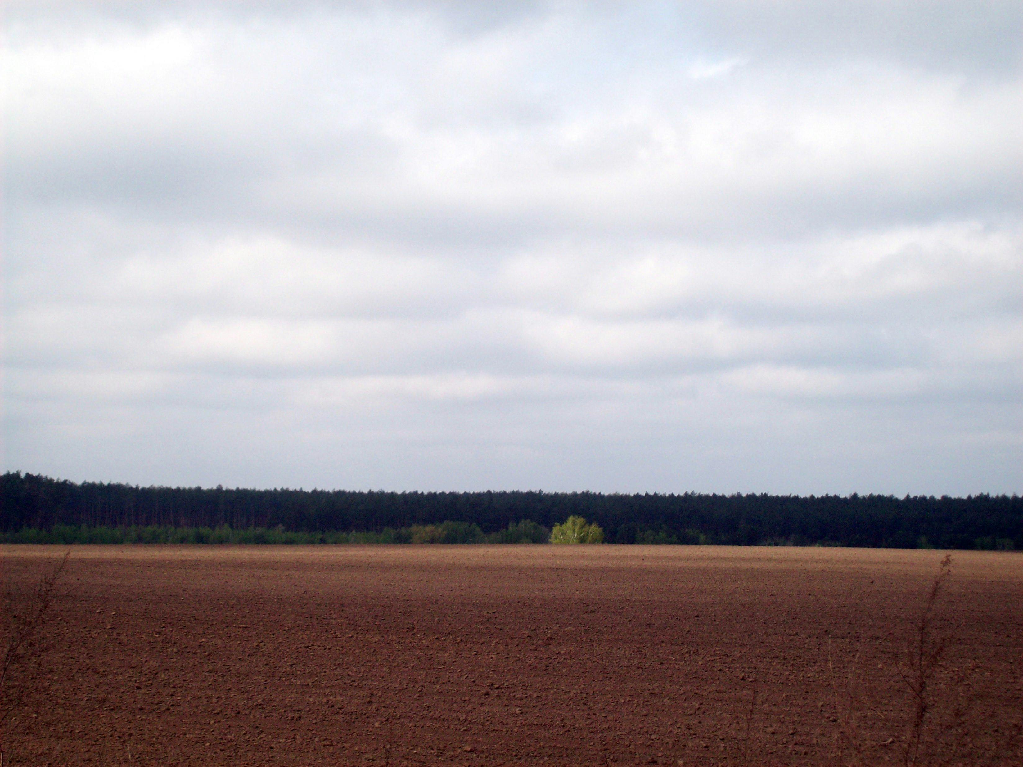 Detalhe de azulejos com padrões florais e geométricos