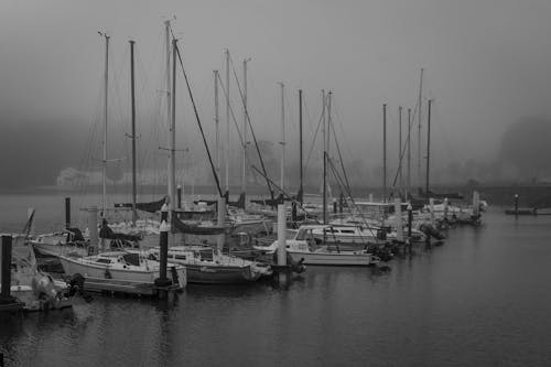 Imagine de stoc gratuită din alb-negru, ambarcațiuni cu vele, andocat