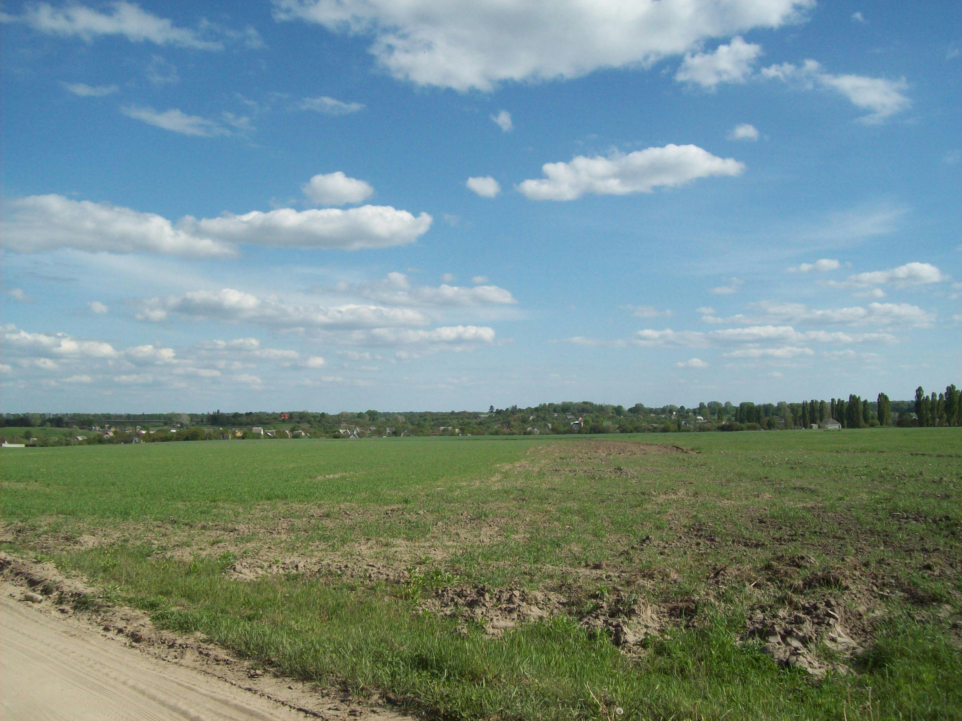 Marché provençal coloré avec des fruits et légumes frais