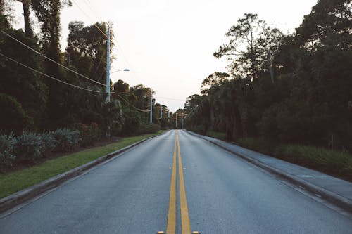 Straight Empty Road Between Trees during Daytime