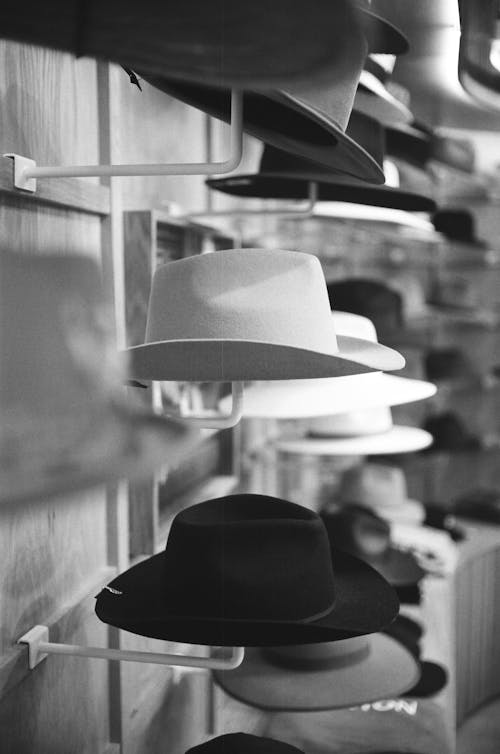 Free Hats on Stands in a Store Stock Photo