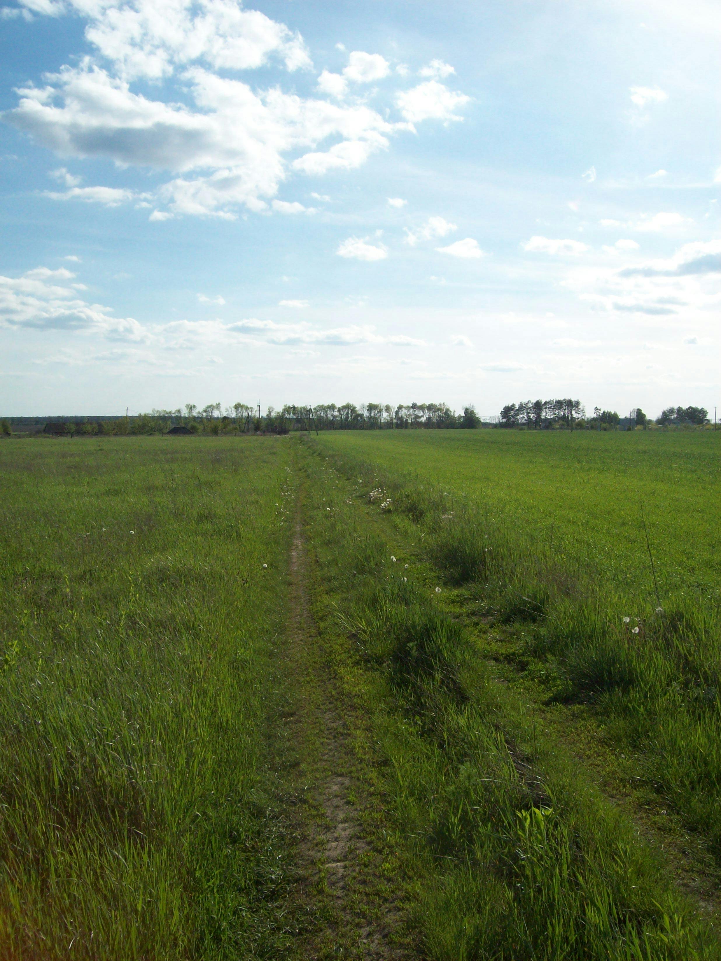 シンガポールの高層ビル群と都市景観