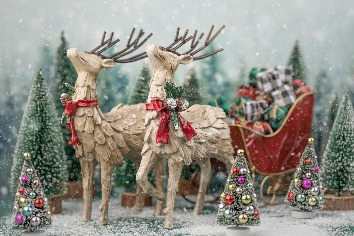 Christmas invitation Santa's Reindeer