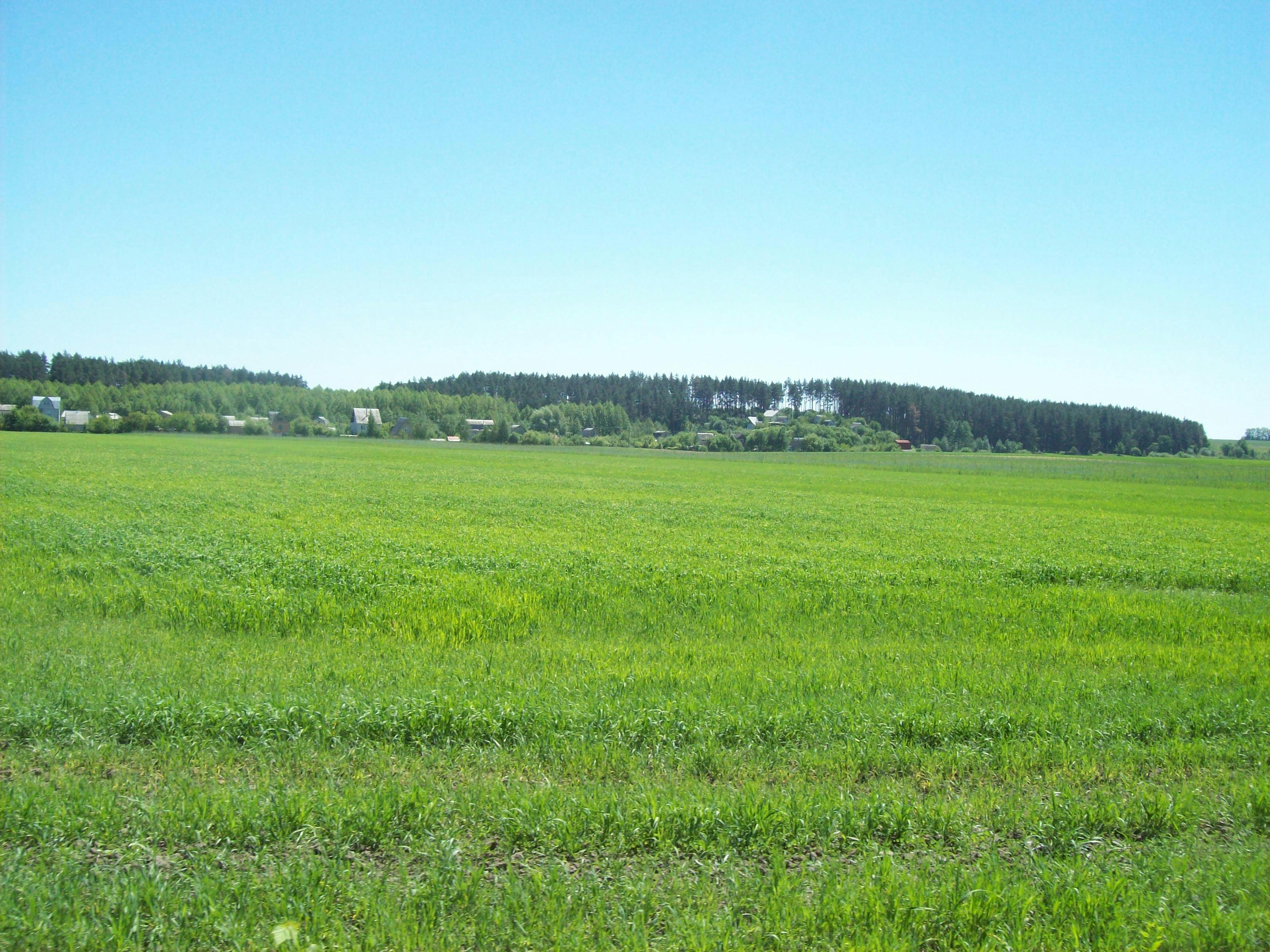 Monster Energy Reimagined