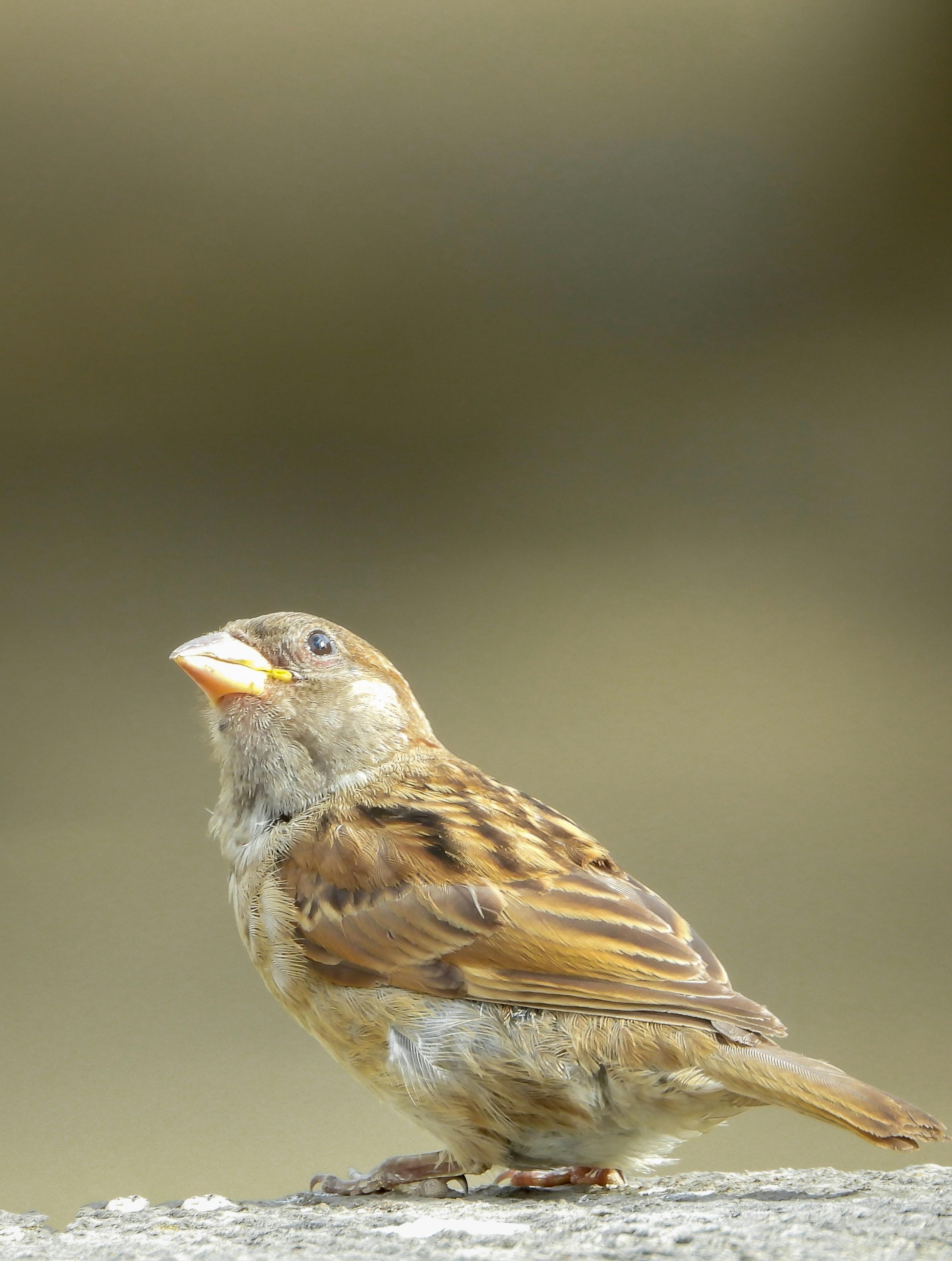 Fullness Routine Bundle