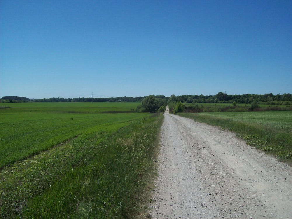 프랑스 저항군 역사적 진실