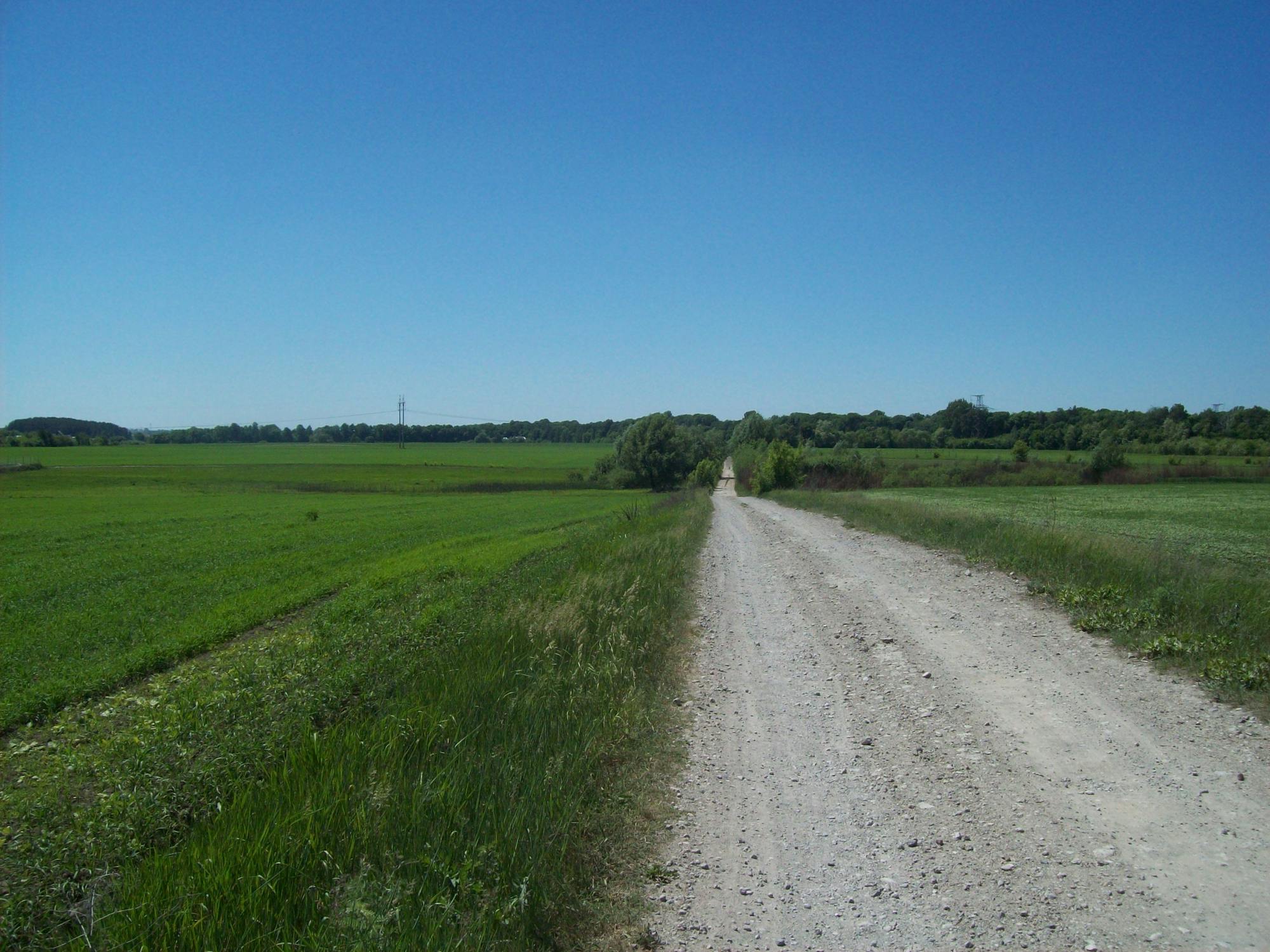 대중교통에서 책을 읽는 사람
