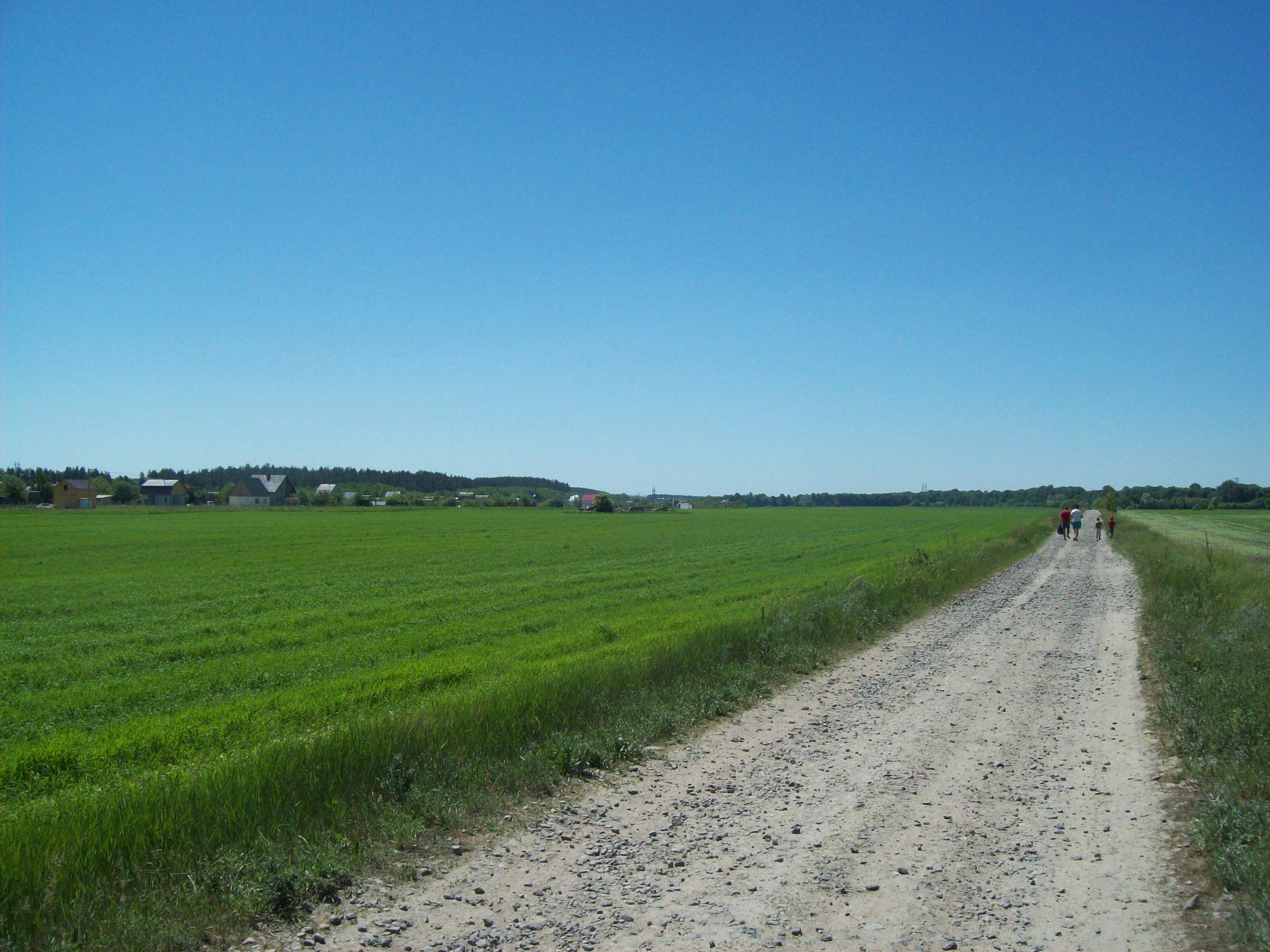 스마트폰을 보고 있는 사람이 커피와 화장품 쇼핑백을 들고 있는 모습