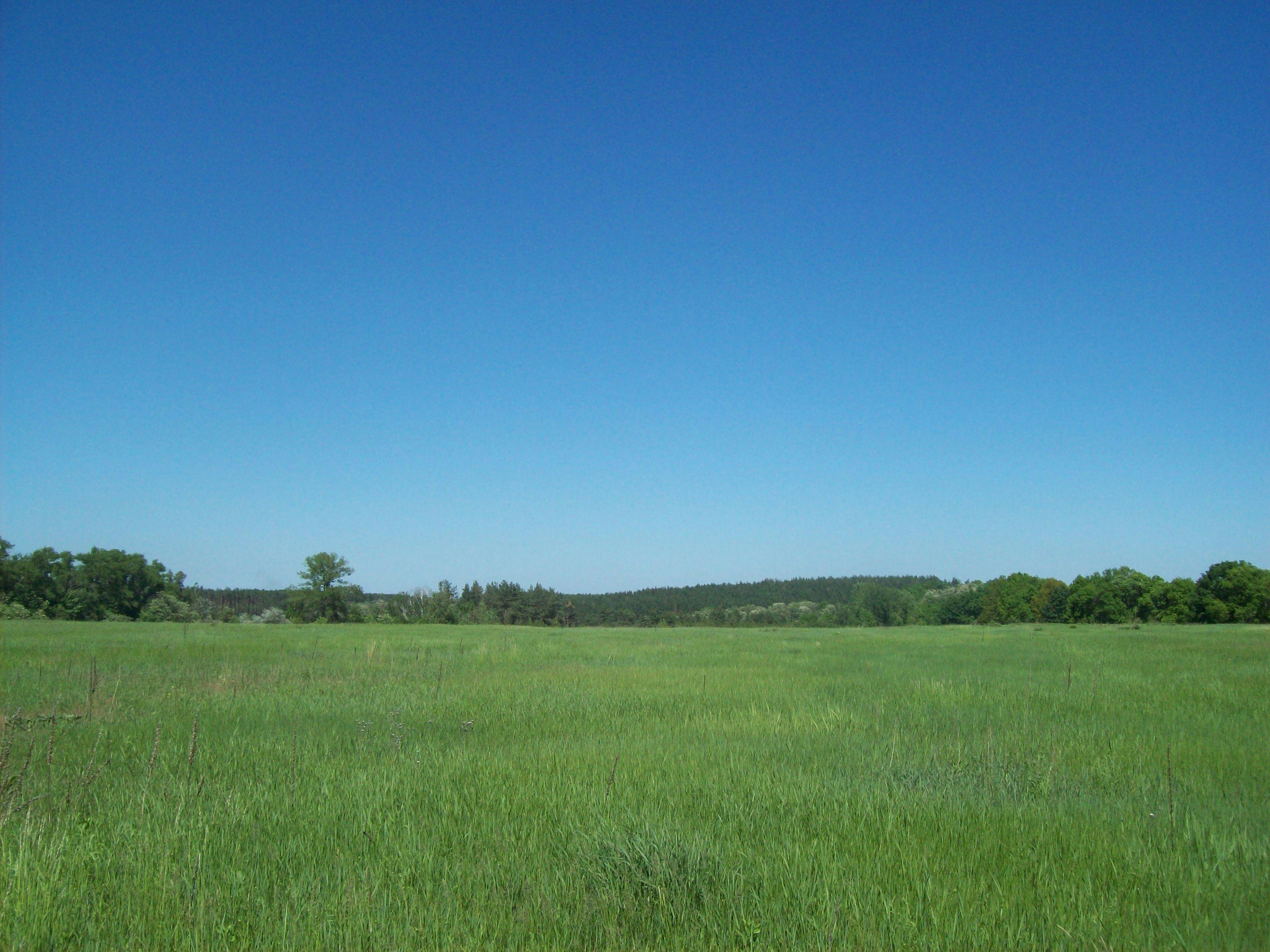 파리 벼룩시장의 빈티지 물품들