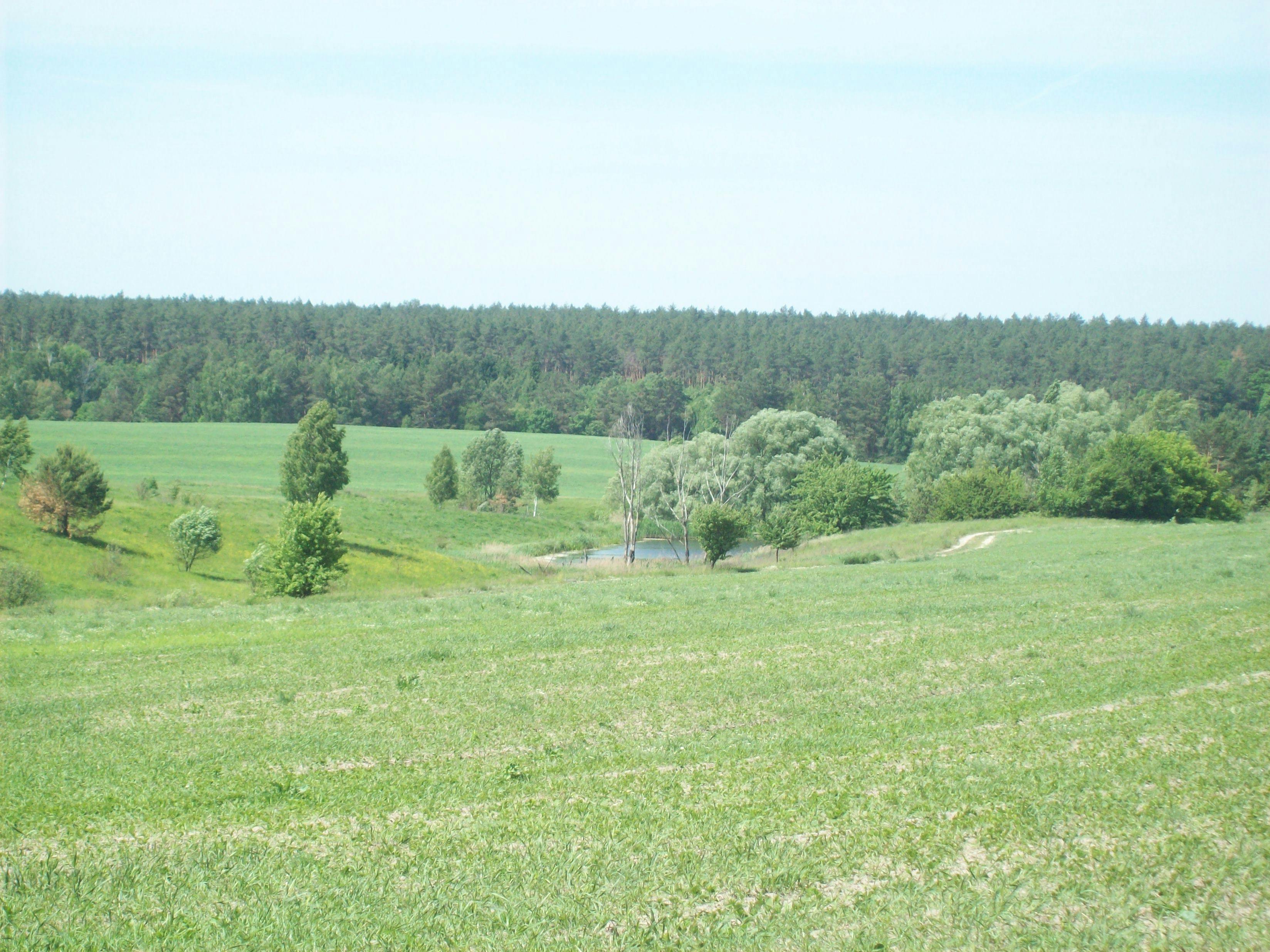 Trânsito intenso em São Paulo, Brasil